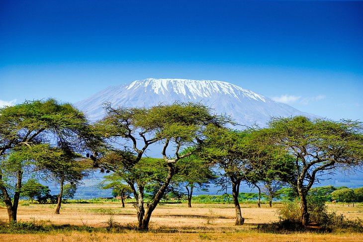 Top-Rated Tourist Attractions in Kenya | PlanetWare