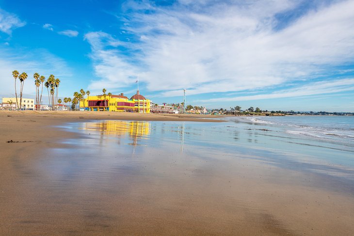10 Best Beaches In Santa Cruz Ca April 2023 Topify