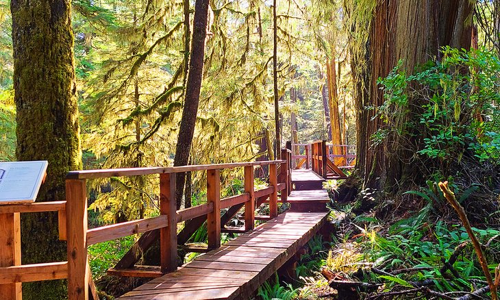 10 Best Trails and Hikes in British Columbia