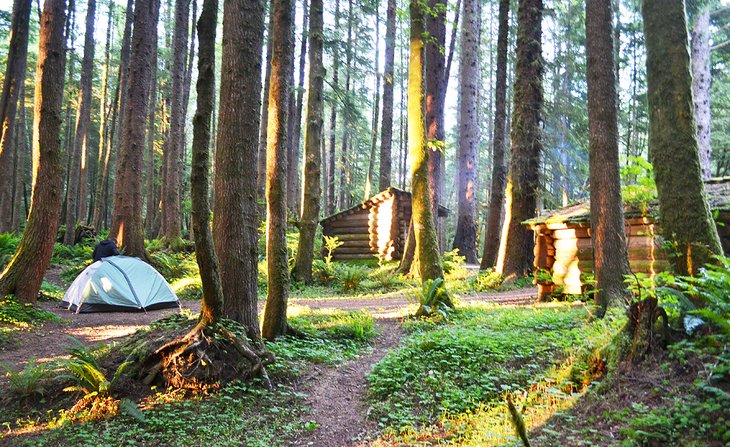 Camping for Beginners: A Complete Guide on How to Camp | PlanetWare