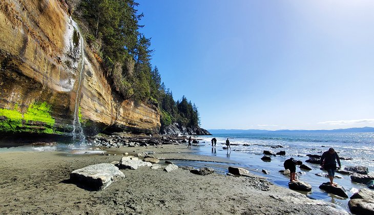 10 Best Trails and Hikes in Vancouver