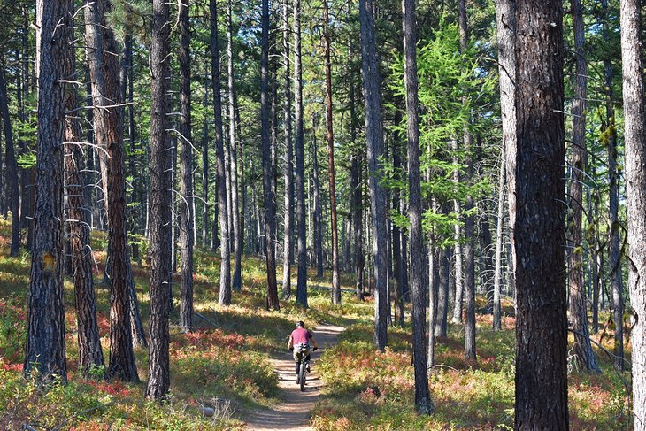 12 Best Hiking Trails near Missoula, MT | PlanetWare