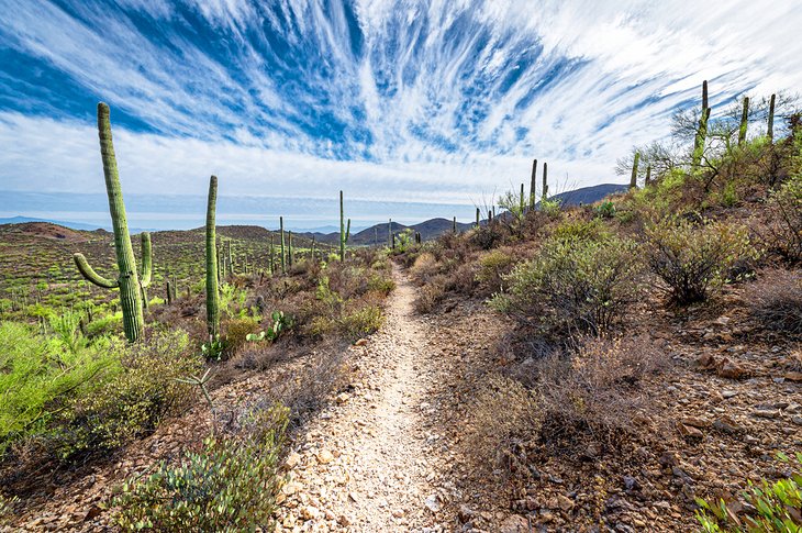 Tucson Hiking  Explore Tucson & Southern Arizona On Trails