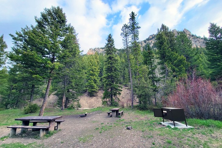Moose Creek Group Site, Custer Gallatin National Forest 