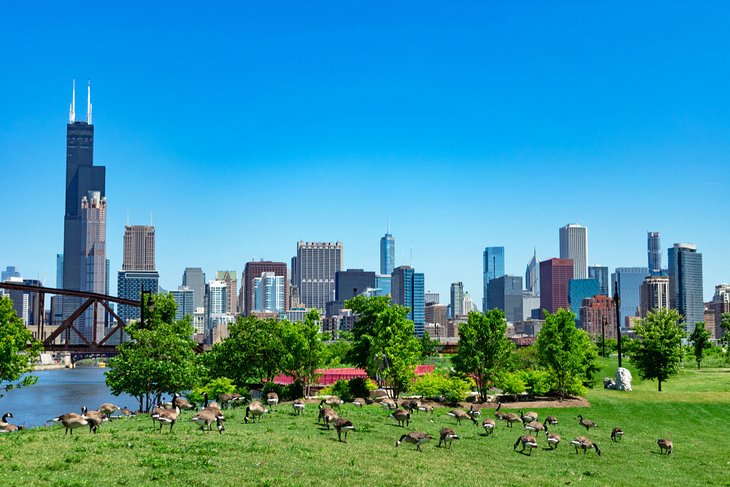 9 Best Parks in Chicago | PlanetWare