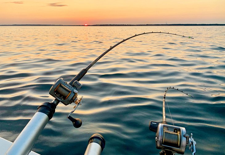 Pesca de salmón en el estanque Michigan: cosas que debe aprender - ✔️Todo  sobre viajes✔️
