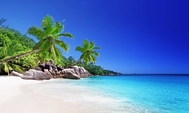 tropical beaches