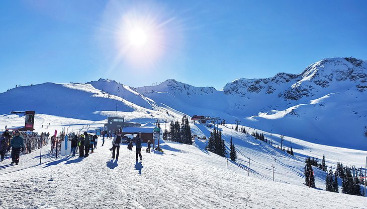 Top 5 Ski Resorts in Canada: Readers' Choice Awards 2023