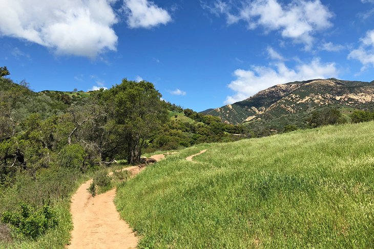 10 Best Easy Trails in Santa Barbara