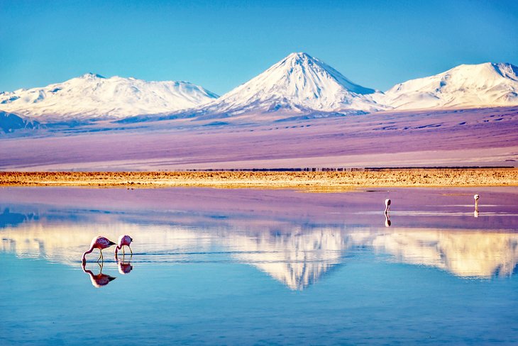 Cross over to Chile! Come discover the beauty of Chile right on
