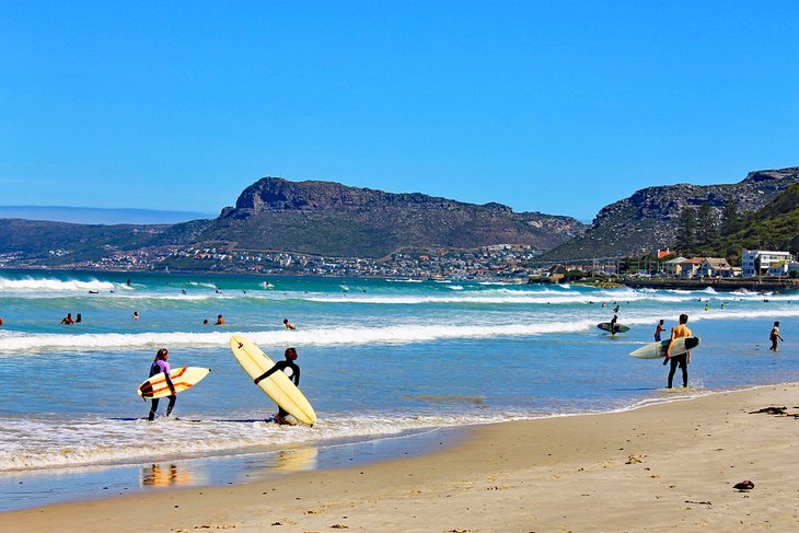 Why Cape Town Is A Must-Visit Destination