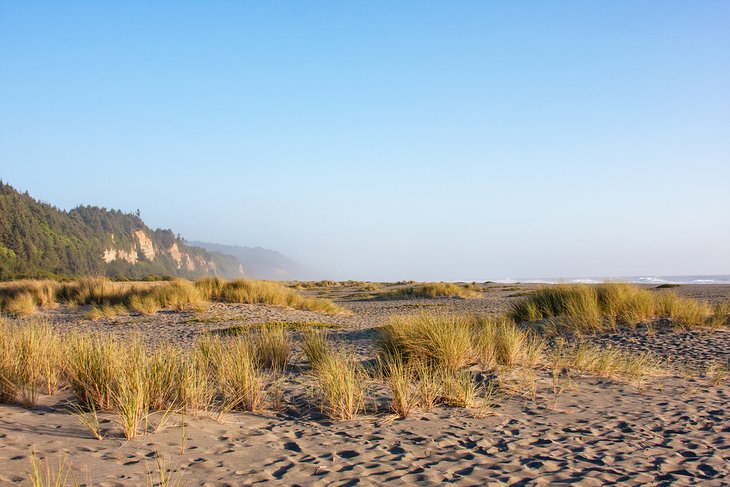 15 Top Rated Beaches In Northern California Planetware