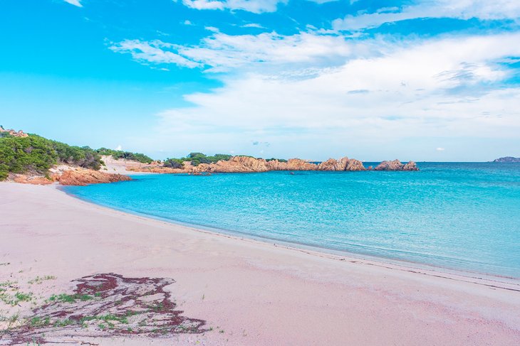 17 Best Pink Sand Beaches in the World