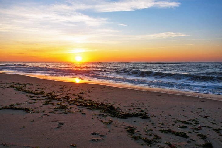 14 Top-Rated Beaches in the Hamptons | PlanetWare