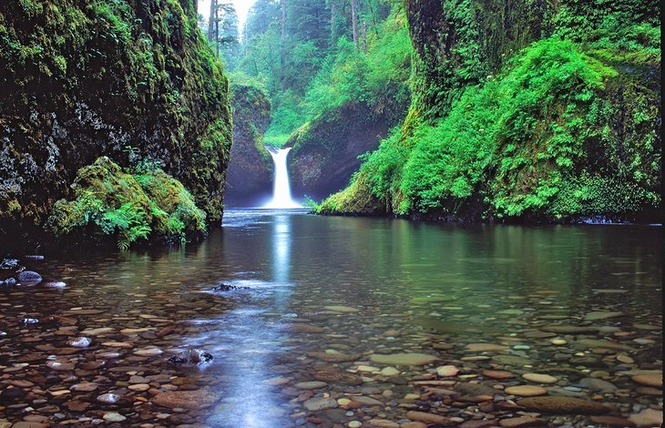 Hikes in and Near Portland  The Official Guide to Portland