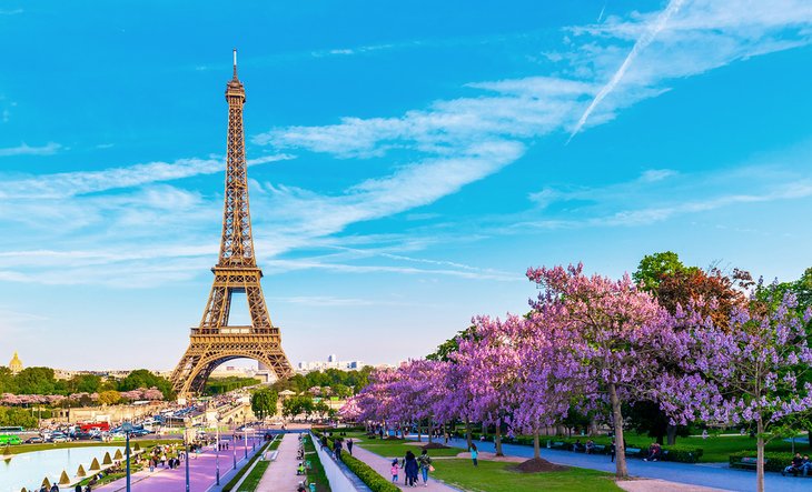 Eiffel Tower in the spring
