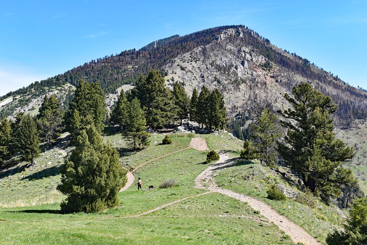 10 Best Hiking Trails near Bozeman, MT