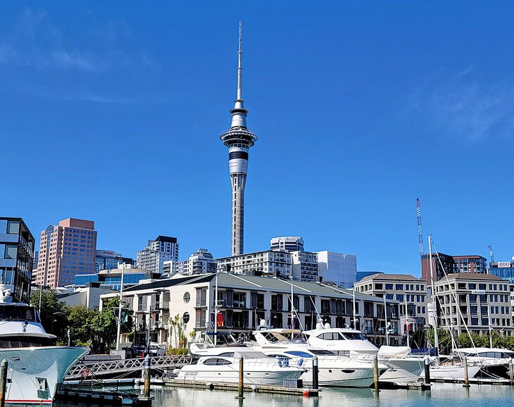 sightseeing in auckland new zealand