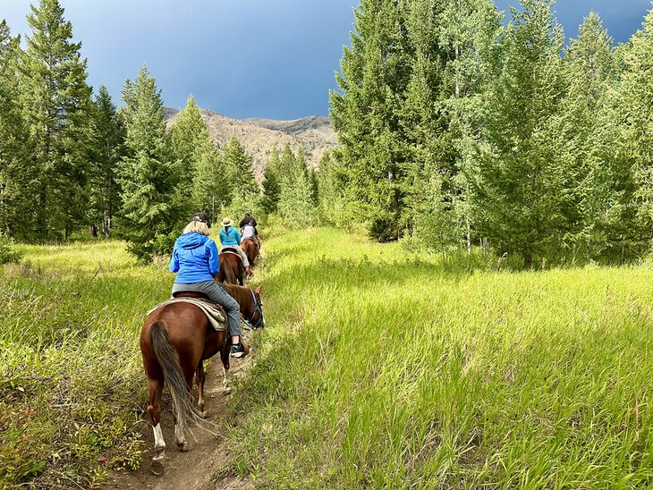 Horseback riding near Cody