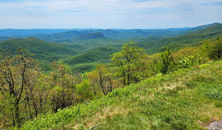 Spring on the Blue Ridge Parkway