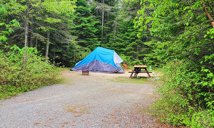 A typical campsite in Pukaskwa National Park