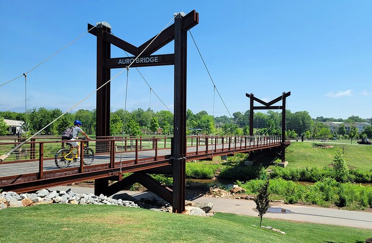 The Auro Bridge over the Swamp Rabbit Trail