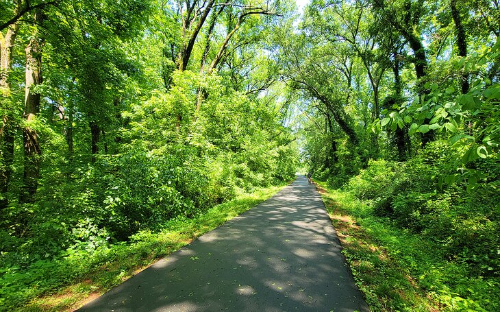 The paved Swamp Rabbit Trail