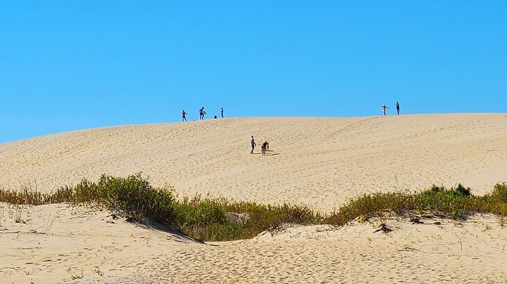 Playing on the dunes at Jockey's Ridge in September
