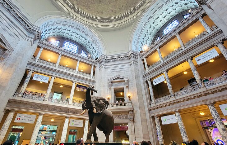 Museum of Natural History in Washington, D.C.