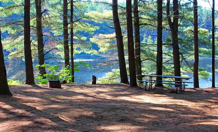 A lakeside campsite in Algonquin Provincial Park