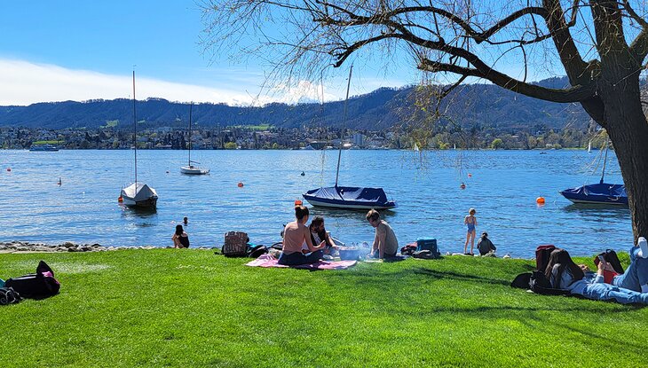 Lakeshore near Zürichhorn Park