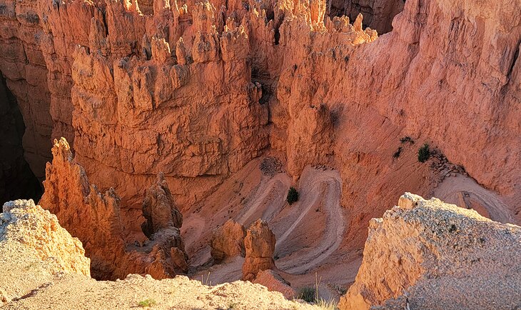 Switchbacks at the end of the Navajo Loop Trail in the late afternoon