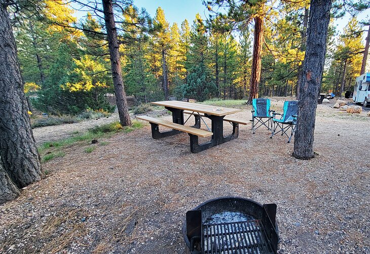 A typical RV site in the North Campground