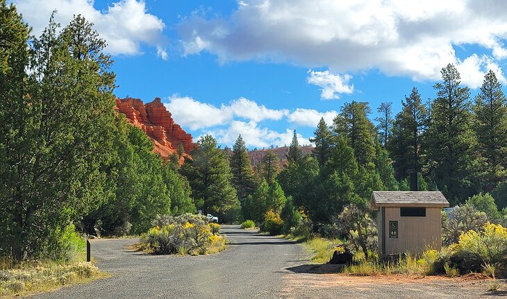 A loop in Red Canyon Campground