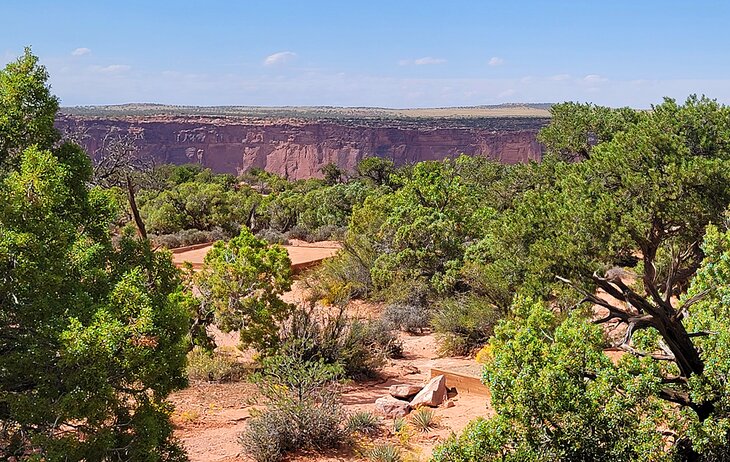 Campsites in Kayenta Campground at Dead Horse Point State Park