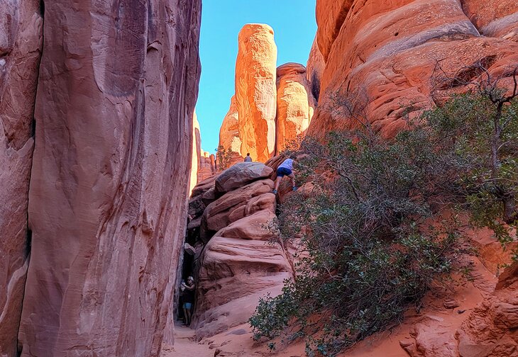 Las 12 mejores caminatas en el Parque Nacional Arches