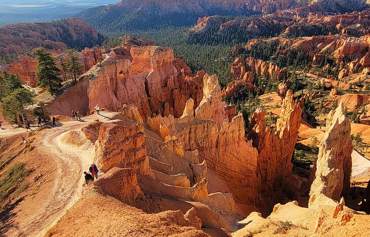 A hiking trail in Bryce Canyon National Park