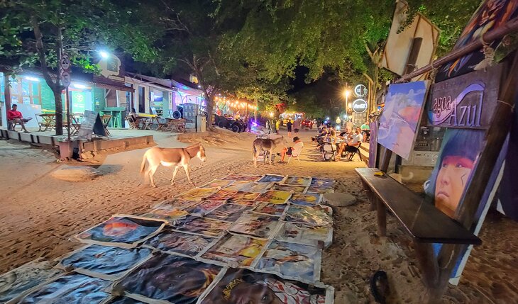 Donkeys on the street at night in Jericoacoara